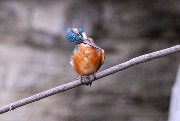 DSC_0655.jpg