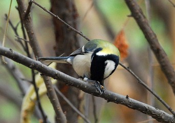 DSC_0023.jpg