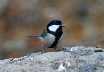 DSC_0280.jpg