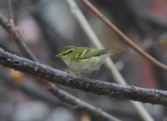 DSC_0490.jpg