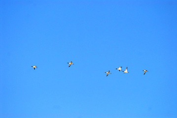 DSC_0174.jpg