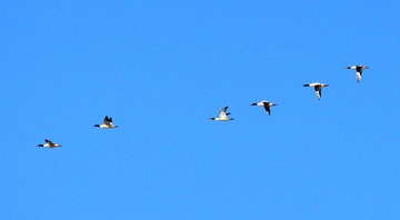 DSC_0182.jpg
