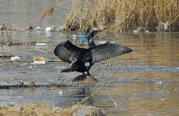 DSC_0317.jpg