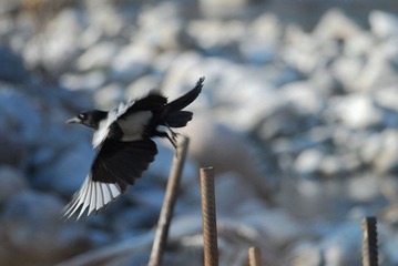 DSC_0507.jpg