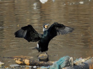 DSC_0541.jpg
