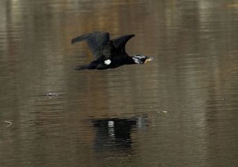 DSC_0561.jpg