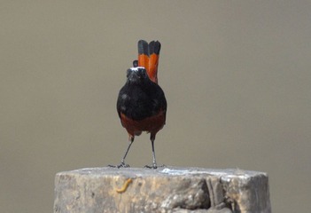 DSC_0843.jpg