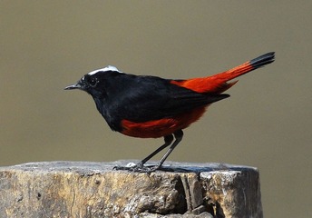 DSC_0854.jpg