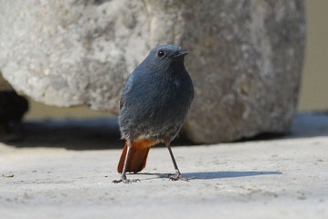 DSC_0895.jpg