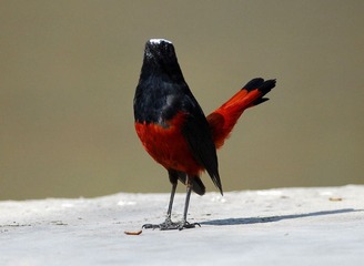 DSC_0926.jpg