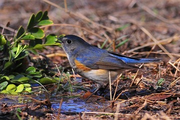 DSC_2854.jpg
