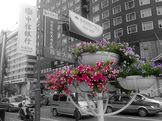 同志街