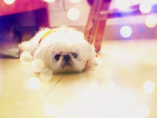 My love