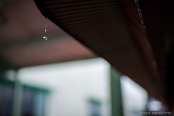 IMG_0432.jpg
