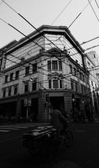 IMGP6374.jpg