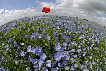 IMGP5643.jpg