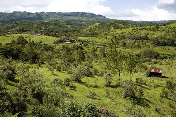 IMGP2219.jpg
