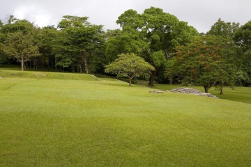 IMGP0044.jpg