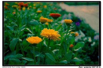 IMGP0082.jpg