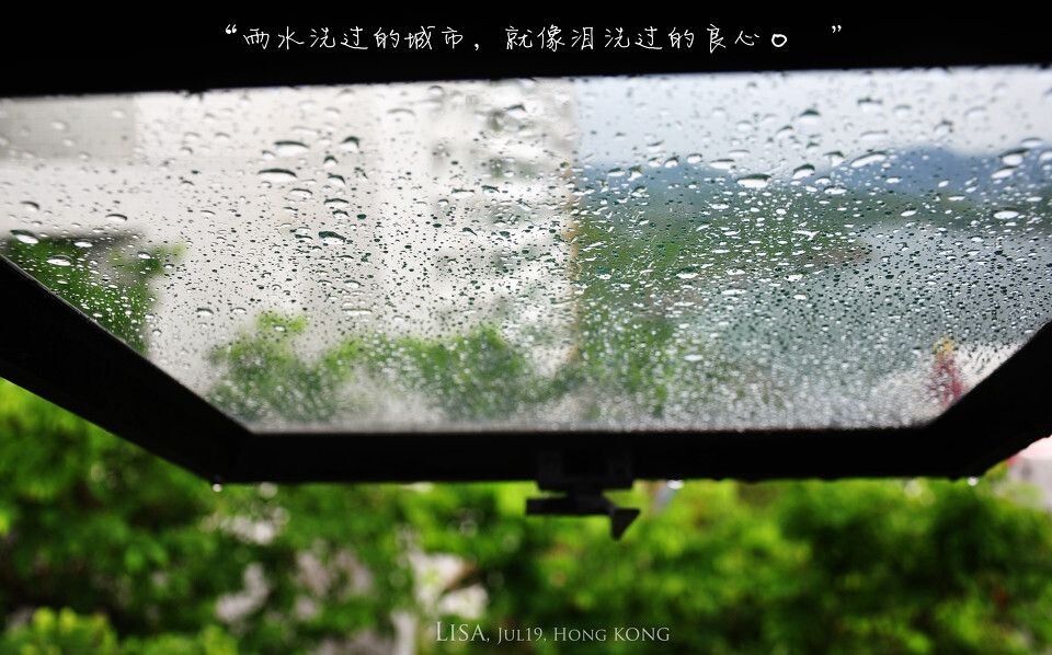 Summer Rain<br />
雨水洗过的城市，就像泪洗过的良心。