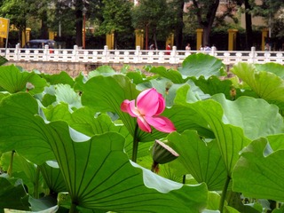 IMG_0338 拷贝.jpg