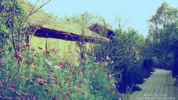 童话小屋