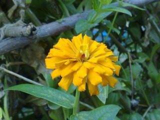 20110915040.jpg