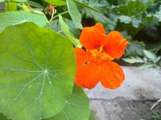 20111001123.jpg