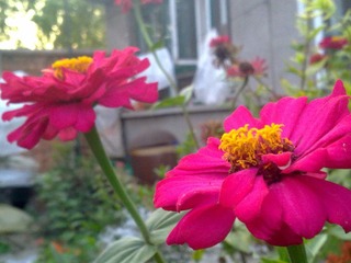 20111002186.jpg