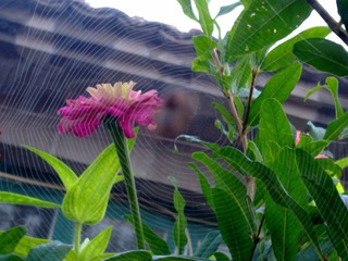 20110915036.jpg