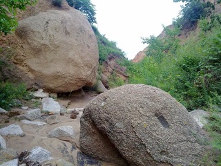20110720752.jpg