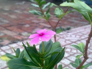 20111013287.jpg