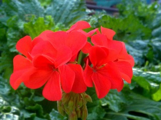 20111017397.jpg