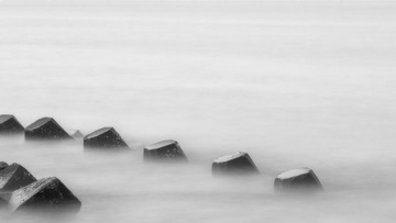 _ZHN1295-143