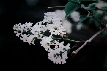 IMGP6794-3_00_调整大小