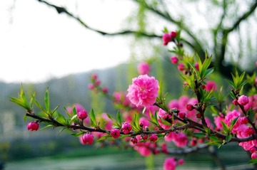 IMGP6920_02_00_调整大小