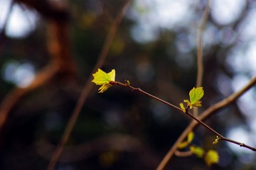 IMGP6829_02_00_调整大小