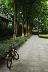 IMG_1392.JPG