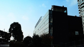 IMG_2717.jpg