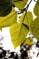 IMG_7881.jpg