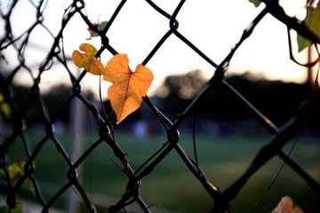 IMG_7903.jpg