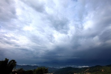 IMG_8398.jpg