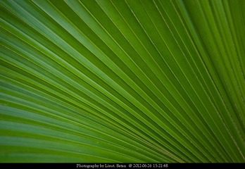 psbCA2I5RZ1.jpg