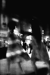 SDIM0736