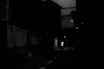 SDIM1068213