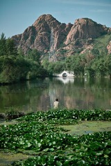 SDIM4771.jpg