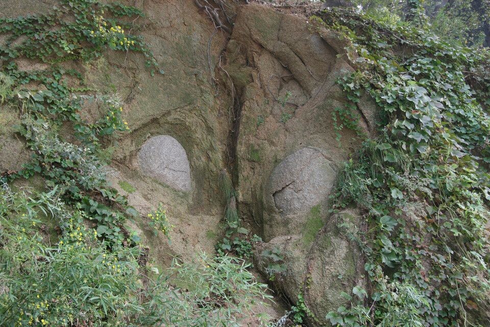 泰山石<br />
