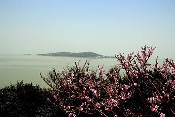 春风又到江南岸