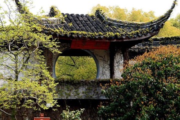乱花渐欲迷人眼