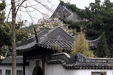 满园春色关不住